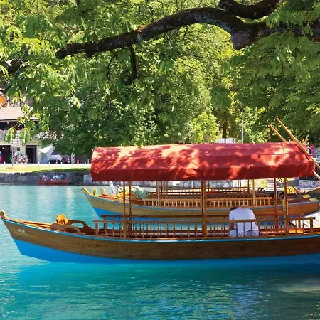 One-bedroom In * Bled